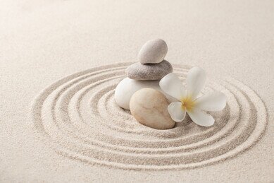 Thumbnail of Master of Arts in Mindfulness and Life Education (Subject to University's Approval)