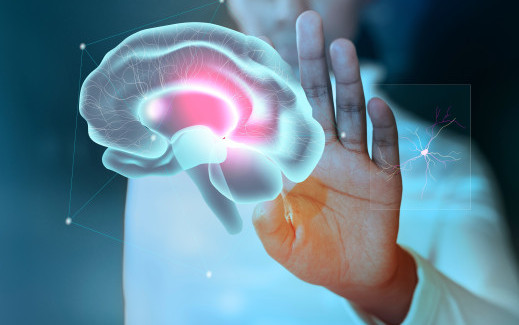 Thumbnail of Master of Science in Applied Neuroscience (*Subject to University’s Approval)
